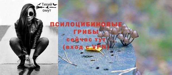 мяу мяу мука Белокуриха