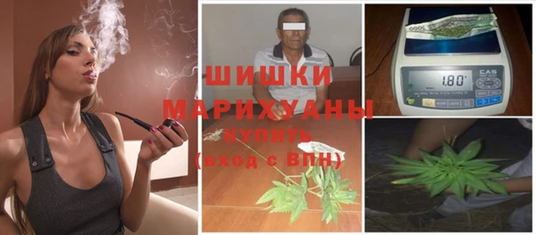 мяу мяу мука Белокуриха