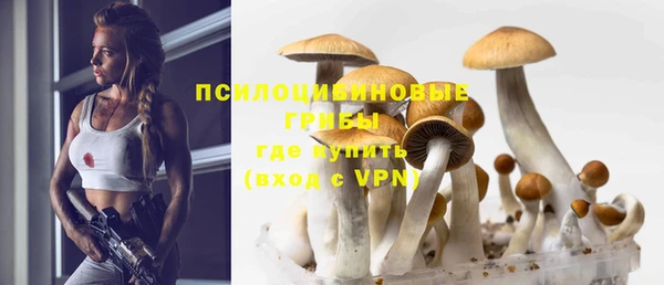 мяу мяу мука Белокуриха