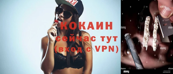 мяу мяу мука Белокуриха