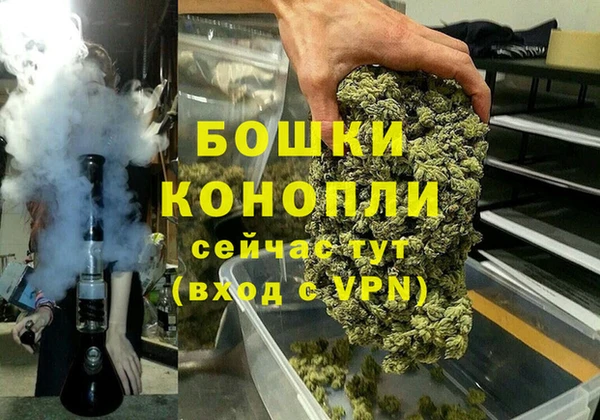 мяу мяу мука Белокуриха