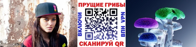 Псилоцибиновые грибы Cubensis  хочу   Воркута 